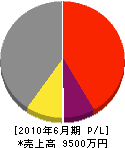 藤井建設 損益計算書 2010年6月期