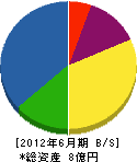 大川内建設 貸借対照表 2012年6月期