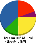 堀江産業 貸借対照表 2011年10月期