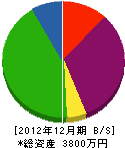 牧田塗装店 貸借対照表 2012年12月期
