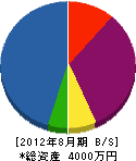 東電気 貸借対照表 2012年8月期