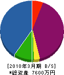 野村造園建設 貸借対照表 2010年3月期