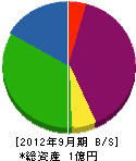 細川建設 貸借対照表 2012年9月期