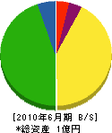 島崎建設 貸借対照表 2010年6月期