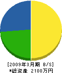 東京ローン・サービス 貸借対照表 2009年3月期