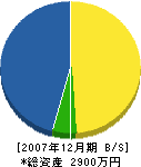 島津塗装店 貸借対照表 2007年12月期