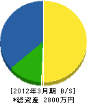 新田電気商会 貸借対照表 2012年3月期
