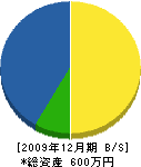 小川塗装店 貸借対照表 2009年12月期