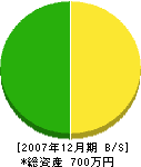 村畑建設 貸借対照表 2007年12月期