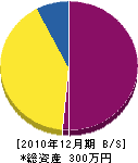 総合造園北川 貸借対照表 2010年12月期