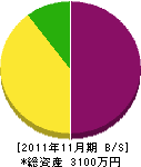 丸島組 貸借対照表 2011年11月期