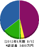 松野建材店 貸借対照表 2012年6月期