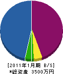 稗田緑化 貸借対照表 2011年1月期