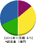 宝城通信 貸借対照表 2012年11月期