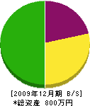 慶光園 貸借対照表 2009年12月期