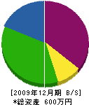 松陽造園 貸借対照表 2009年12月期
