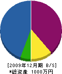 松田塗店 貸借対照表 2009年12月期