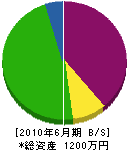 渋谷管工 貸借対照表 2010年6月期