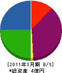 トシマ 貸借対照表 2011年3月期