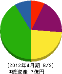 川村工務所 貸借対照表 2012年4月期