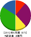 宮田工務店 貸借対照表 2012年6月期