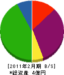 小林インテリア 貸借対照表 2011年2月期