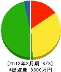 シノキ電気 貸借対照表 2012年3月期