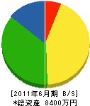 栃木ストロング 貸借対照表 2011年6月期