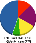 埼玉緑地 貸借対照表 2009年9月期