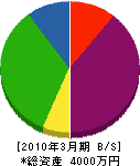 福山商店 貸借対照表 2010年3月期