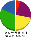 小沼鐵工 貸借対照表 2012年8月期