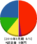 加藤石材 貸借対照表 2010年8月期