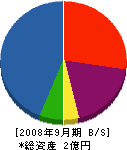阪神都市開発 貸借対照表 2008年9月期