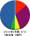 桝井工業 貸借対照表 2012年6月期