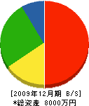 中川竹材店 貸借対照表 2009年12月期