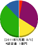 東亜建設 貸借対照表 2011年5月期