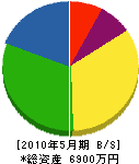 沼田緑化園 貸借対照表 2010年5月期