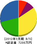 松尾電気商会 貸借対照表 2012年3月期