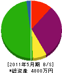 戌亥電機工業 貸借対照表 2011年5月期
