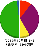 鈴木塗装 貸借対照表 2010年10月期