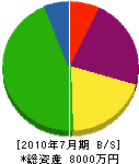 松井工務店 貸借対照表 2010年7月期