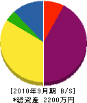 川口住建 貸借対照表 2010年9月期