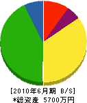 菊地造園 貸借対照表 2010年6月期