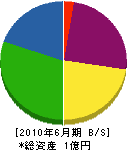 前川工業 貸借対照表 2010年6月期