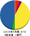 池田電気工事 貸借対照表 2010年5月期