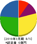 堀田建設 貸借対照表 2010年3月期