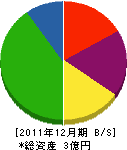 マツヤマ 貸借対照表 2011年12月期