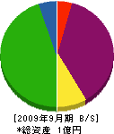 三盛電設 貸借対照表 2009年9月期