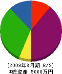川島電気 貸借対照表 2009年8月期