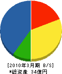 日本舶用エレクトロニクス 貸借対照表 2010年3月期